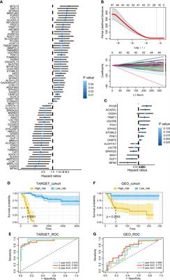 A mitochondria-related signature for predicting immune microenvironment and therapeutic response in osteosarcoma
